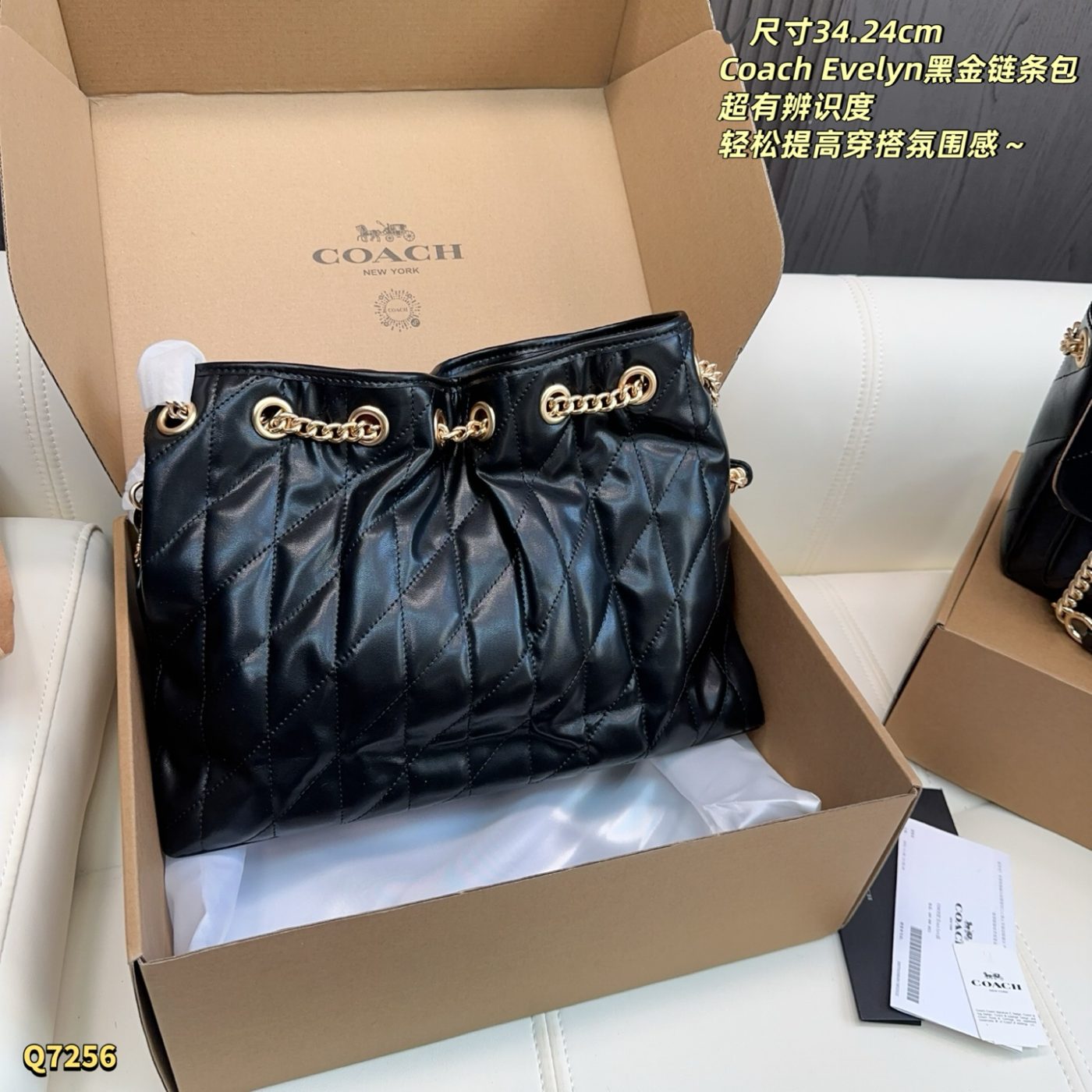 Sac Coach Evelyn à Chaîne Dorée