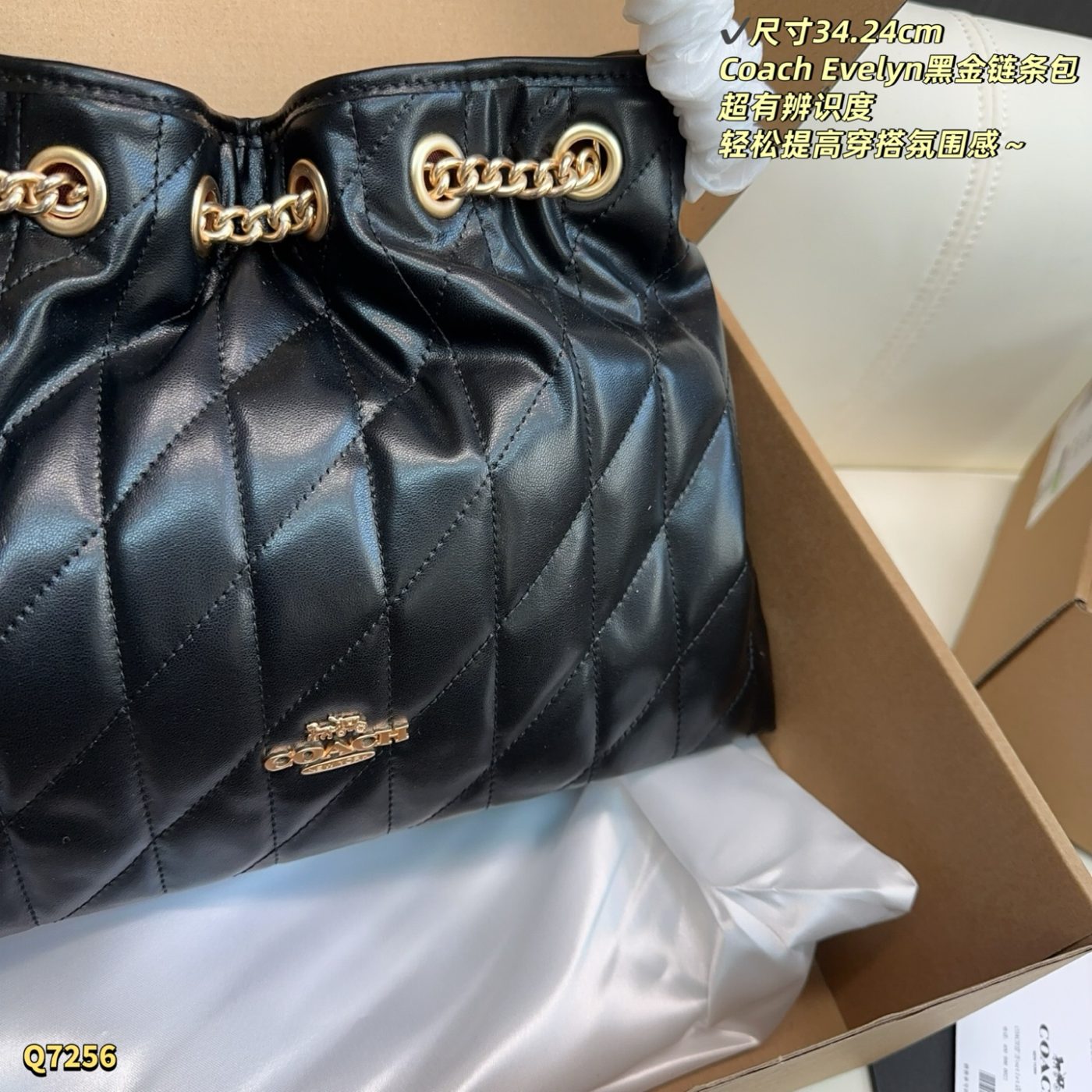 Sac Coach Evelyn à Chaîne Dorée