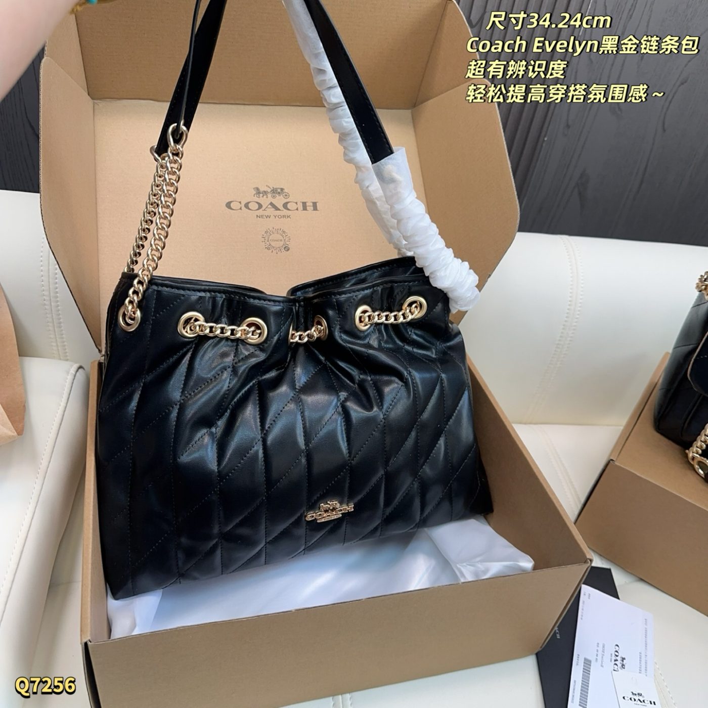 Sac Coach Evelyn à Chaîne Dorée