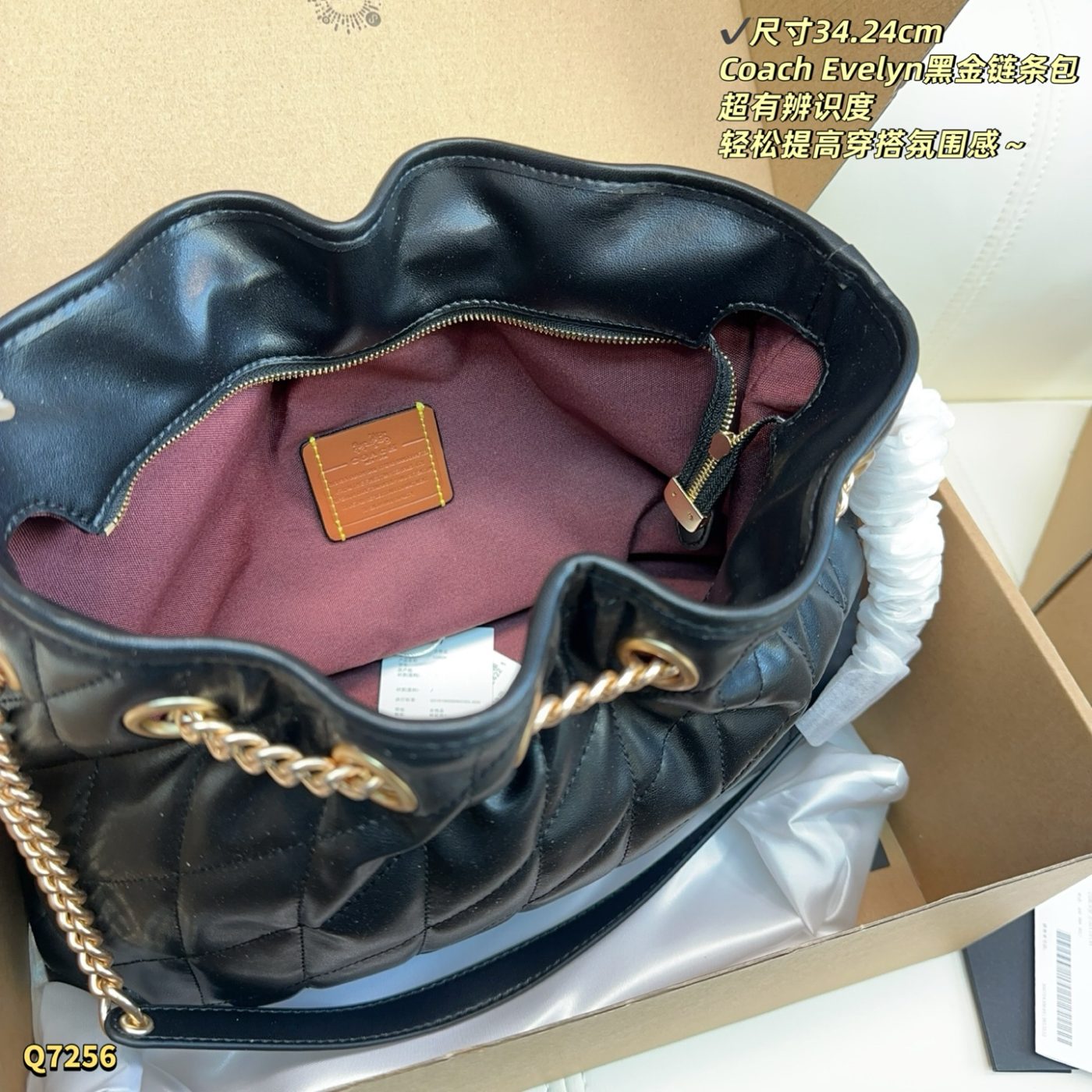 Sac Coach Evelyn à Chaîne Dorée
